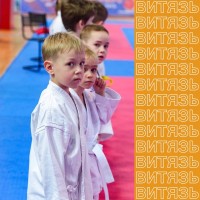 Спортивные достижения МОУ ДО "Центр дополнительного образования детей Дзержинского района"